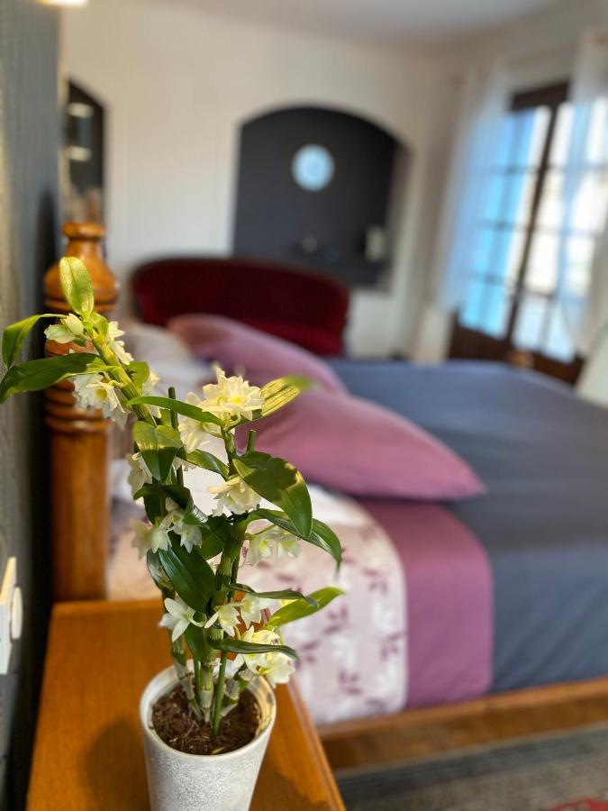 Saint-Didier-de-la-Tour Domaine De La Provencale Bed & Breakfast エクステリア 写真